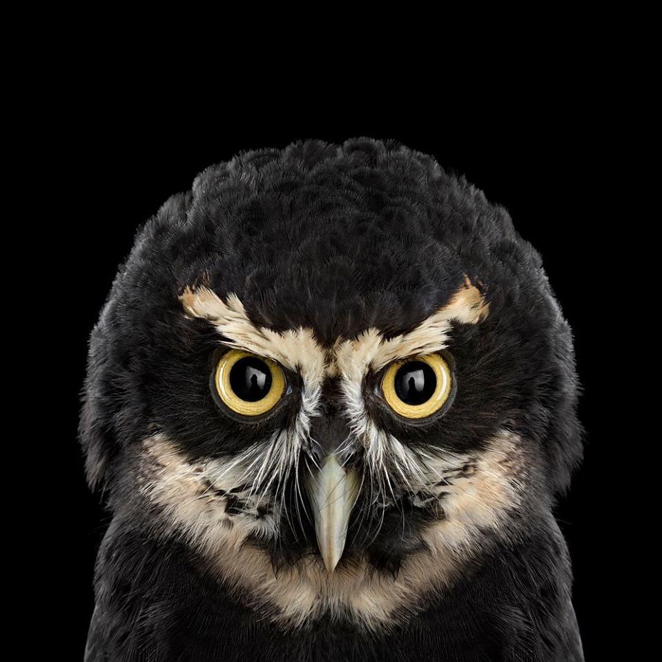 Medical Scientist | Paratrooper Veteran | Swing Trader | Marathoner | Fabric Designer | Scuba Diver | Believer | I Tweet; Therefore, I Am | #TweetsAreMyOwn