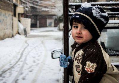 hamzasayad4's profile picture. 