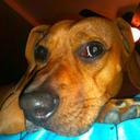 Molly Salisbury - @bunnyfoofooms - Twitter