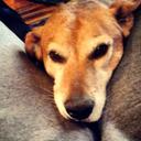 Sidney Thomas - @SidneyThomas17 - Twitter