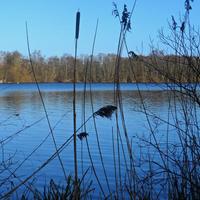 Visit Salhouse (@visitsalhouse) 's Twitter Profile