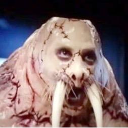 BigWalrus32's profile picture. Mr. Mojo Risin'