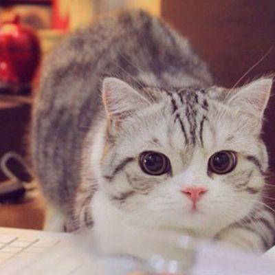 mimi13886's profile picture. 