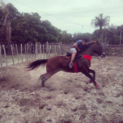 estudante de ciências contábeis e vaqueiro do parque santa fé .