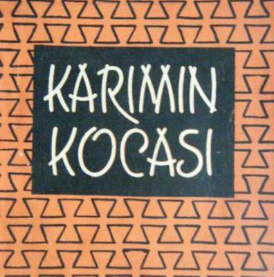 Karımın kocası, Düz TV izleyicisi, Yemek yapmayı öğreniyor.