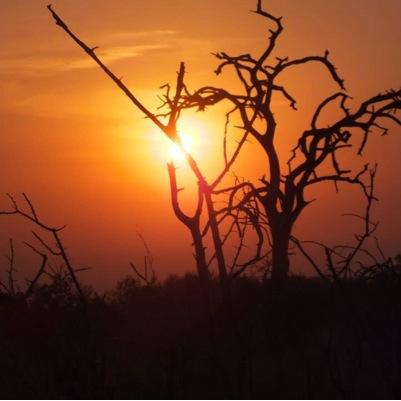 you_rockmysocks's profile picture. Normal teenage girl