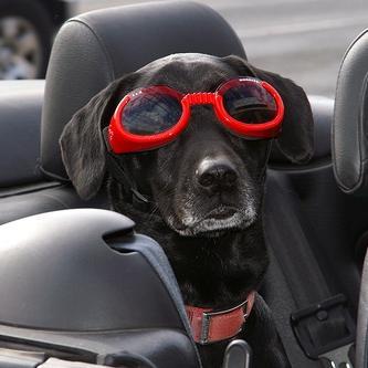 stevelisson's profile picture. Sagaponack, NY 11962 | Suffolk County, New York | Top local news and events | The best breaking news, stories, and events from a network of local news sites.