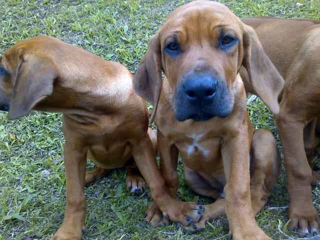 harryfans34's profile picture. Do I love One Direction Con Todo My Heart? I am Directioner Forever and 100 % One Direction Is Quite For My!? Haci that me follow and I follow you;)