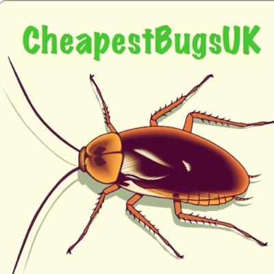 Dubia roaches for sale, perfect for your beardy, tarantula, gecko, chameleon etc. Instagram: cheapestbugsuk