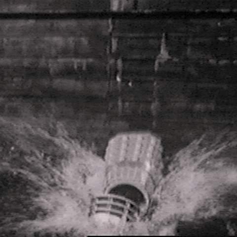 JankyDalek's profile picture. I AM A DALEK! DALEKS CONQUER AND DESTROY! My squad leader says I am special.