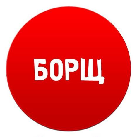 borsh_vk Profile Picture