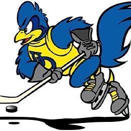 Home to the University of Delaware ACHA Division 2 Team! Proud member of the Mid-Atlantic Collegiate Hockey (MACH)