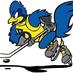 UD Hockey Division2 (@udhockeyd2) Twitter profile photo