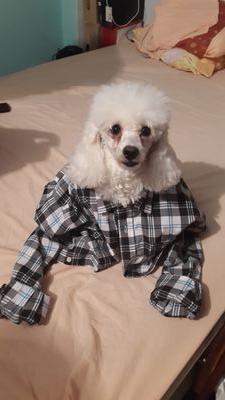 blackdemoni's profile picture. Hasta El final De Los tiempos!!!