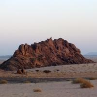 بلداني (@boldni) 's Twitter Profile Photo