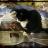 therealm_cat's profile image
