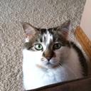 Linda Bartram - @linrosbar - Twitter