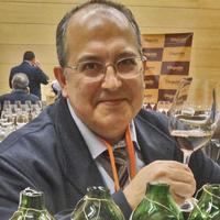 Florentino Ordóñez Vino Rancio(@Clubdevinoses) 's Twitter Profile Photo