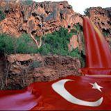 NEVZATKAYA8's profile picture. 