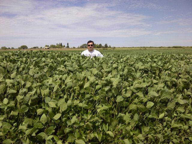 marin_ar's profile picture. Farmer