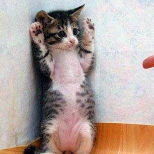 takayuki_x's profile picture. 