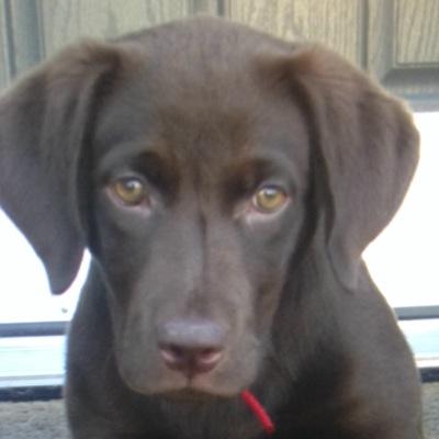 twmansfield's profile picture. Love the outdoors.
Family, hunting, fishing and baseball.