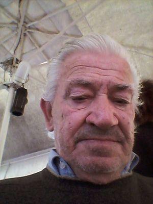 TorelloMinucci's profile picture. Torello nasce nel 1936 di Agosto ed ora fà il pensionato, e la mia passione è fare filmati.