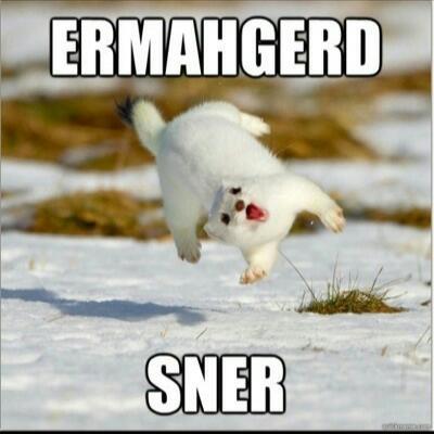 aerospatiale341's profile picture. 