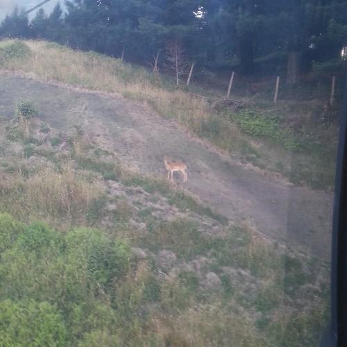 snowmode07's profile picture. 