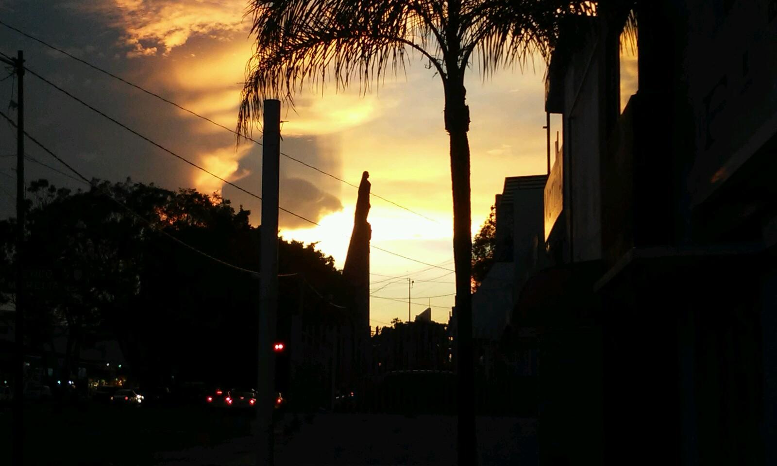 gdlnow2015's profile picture. 