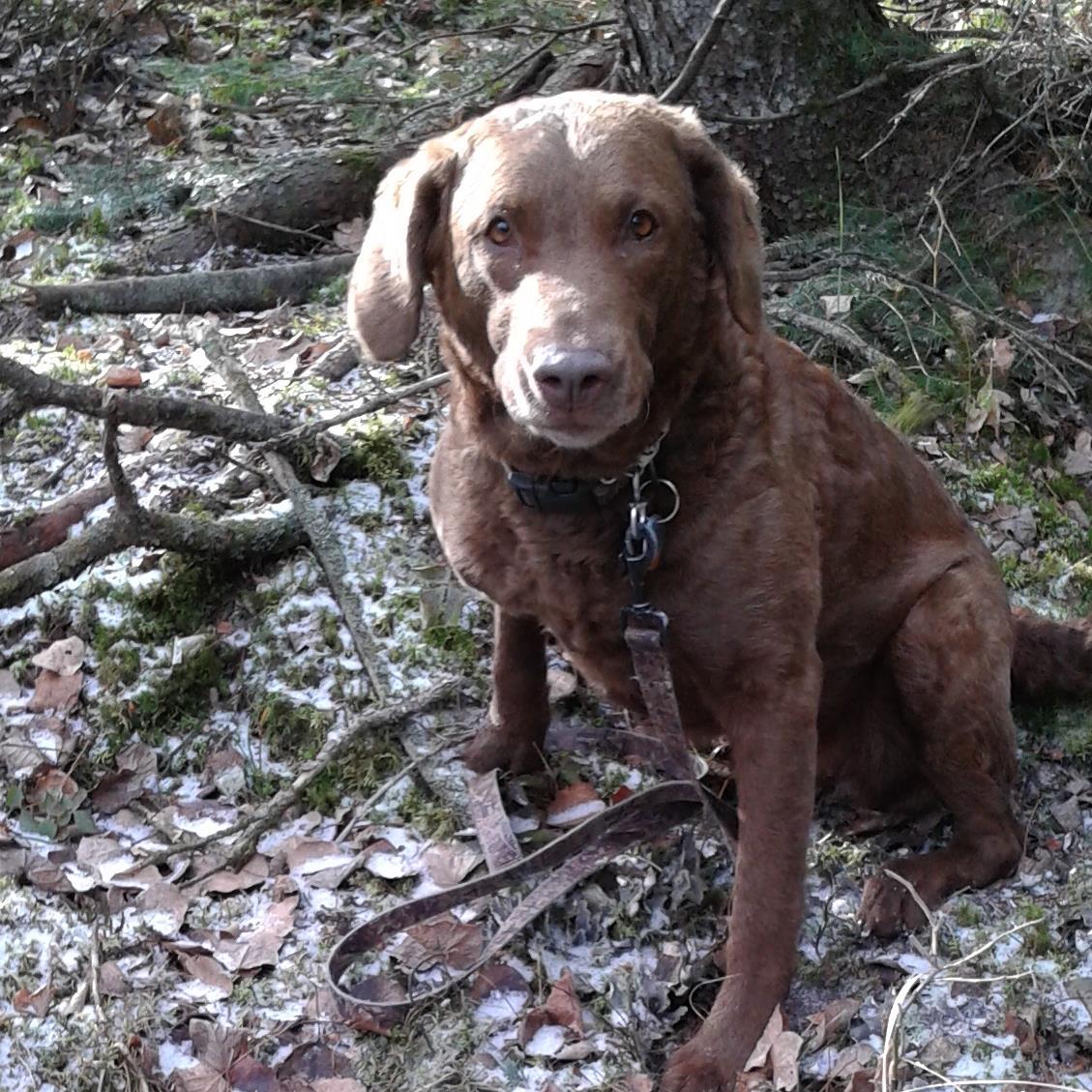 lynne_diana's profile picture. 