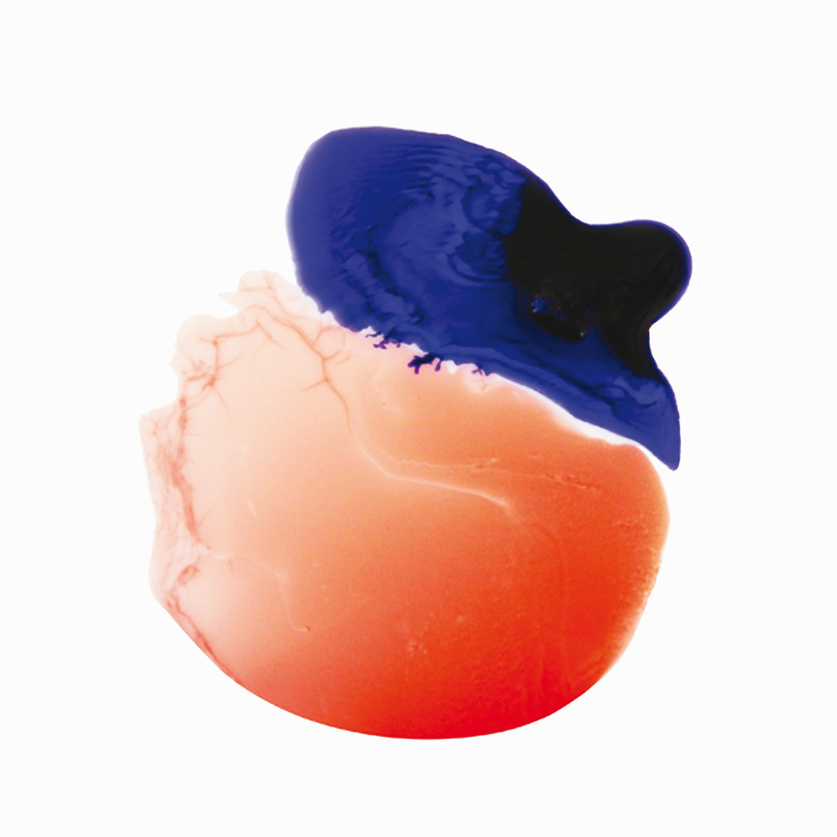 Venera4band's profile picture. POP ROCK SHOEGAZE