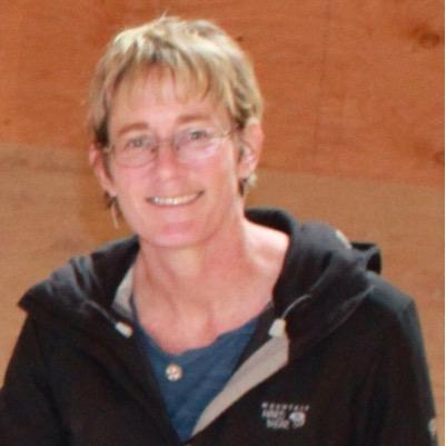 consultant, founding museum director