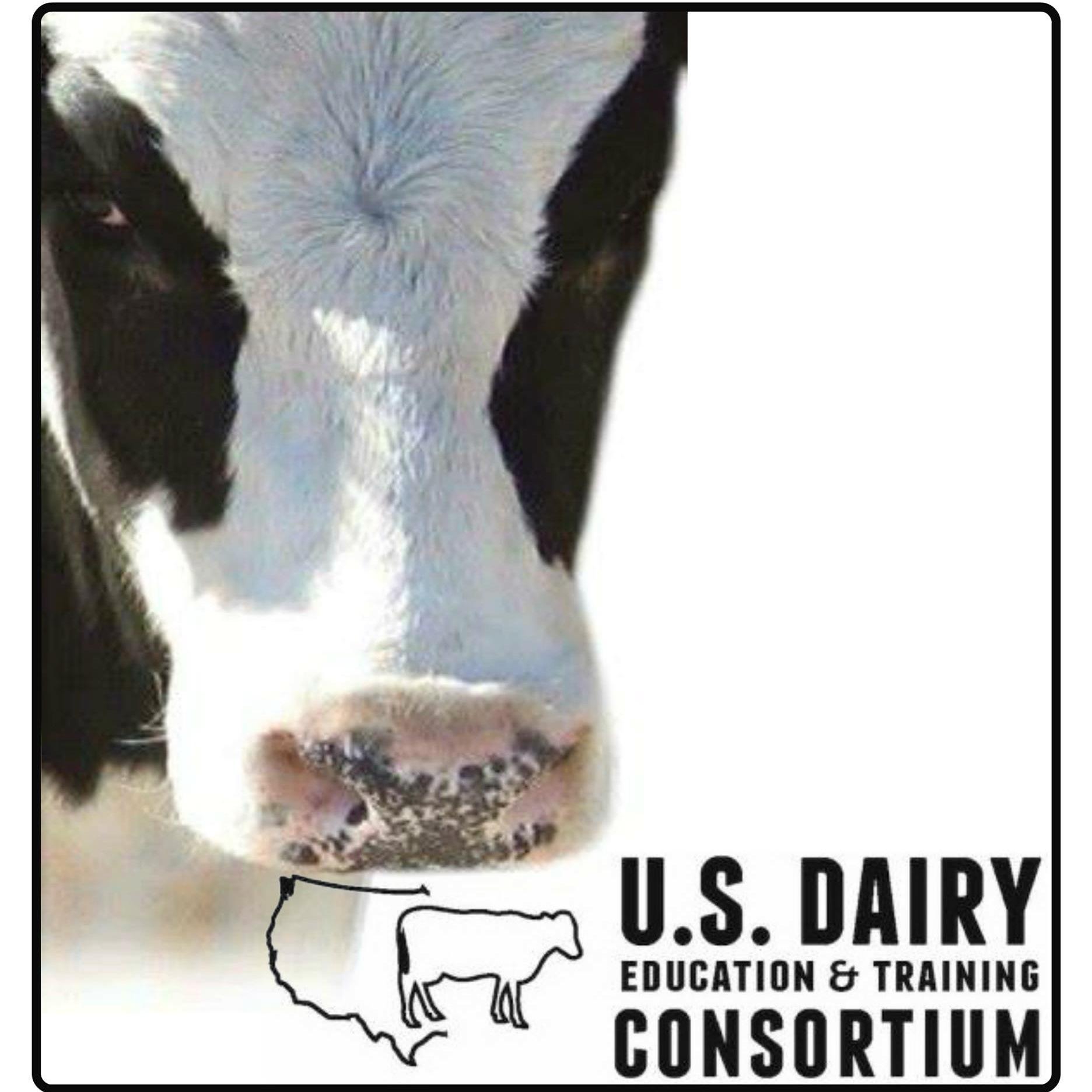 Dairy Consortium