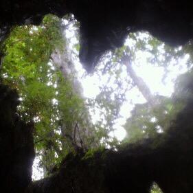 azucar310's profile picture. 