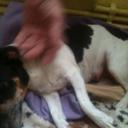 malcolm colin bishop - @malcolmcolinbis - Twitter