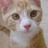 MrsPrisses's profile image