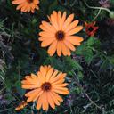 Stacy Spaulding - @spauld51 - Twitter