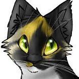 I miss him.. beautiful calico she-cat. 12 moons old. Has no clan, and no mate.