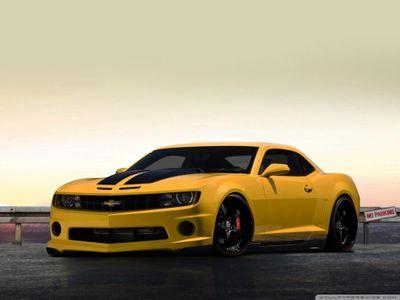 dfa27f5ba7304ef's profile picture. alexandre