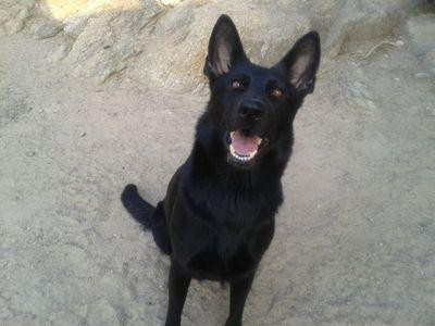 carique74's profile picture. 