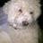 TalkTenterden's profile image