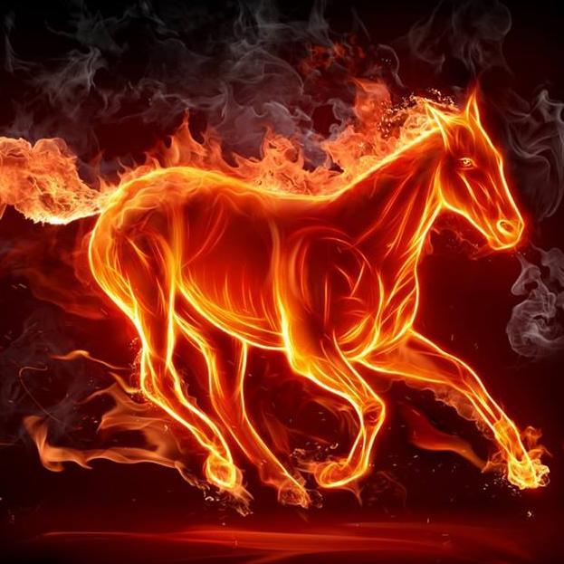 sevgisevi01's profile picture. 