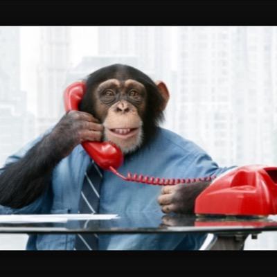 angryreagent's profile picture. Keeping it real in the unreal world of Real Estate