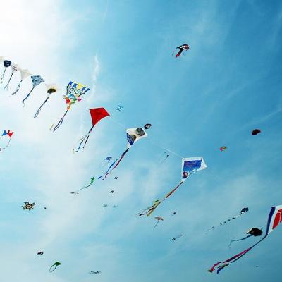 EAndrakakou's profile picture.