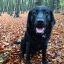 Faye McCabe - @fcemccabe - Twitter