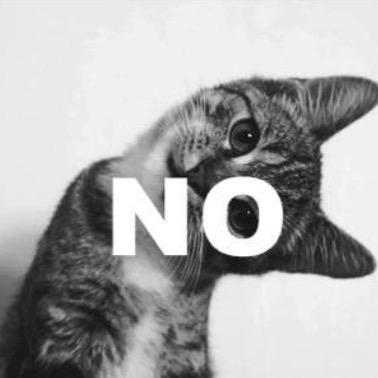 raylnnroe's profile picture. 