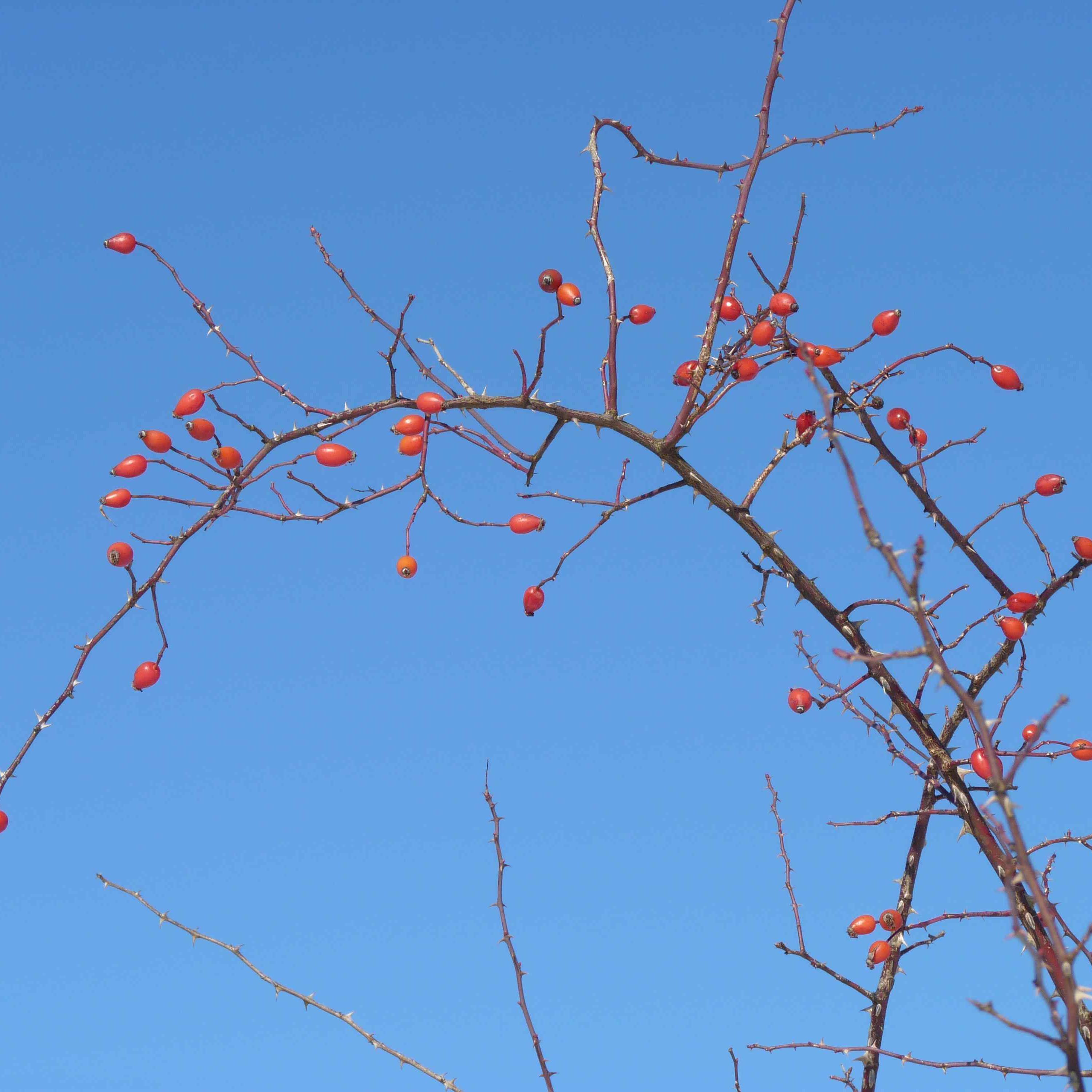 FeliXXfile's profile picture. trou-de-ver dans l'espace médiatico-culturel
http://t.co/os47wTRocE