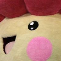分かる人には分かる花の妖精なのよ