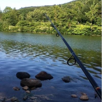 seymour70's profile picture. Let your light shine forth before men that they may see your good works & give glory to your Father who is in heaven. -Matthew 5:16